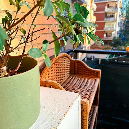 Amigos